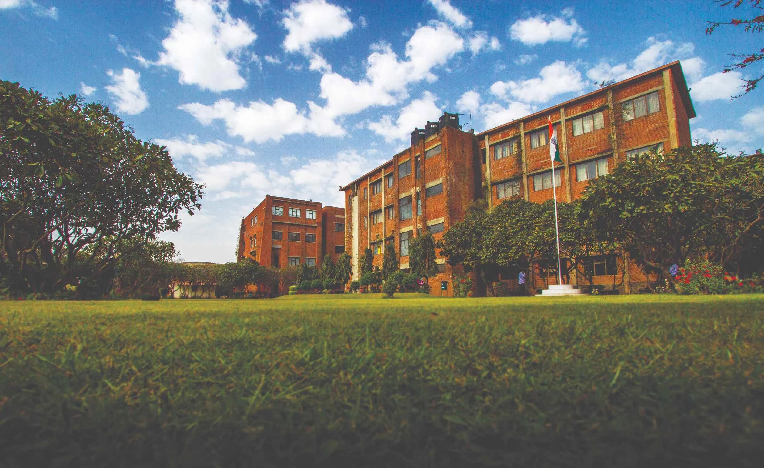 IILM University